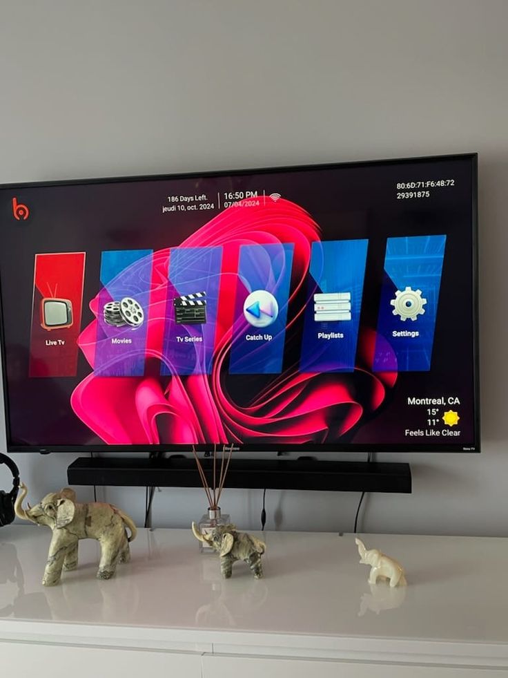 Supplied IPTV viewing image 5